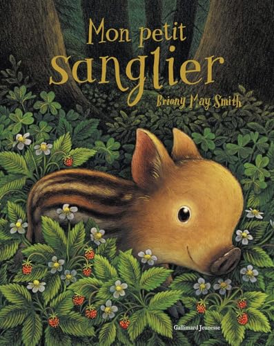 Mon petit sanglier (Paperback)