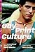 Gay Print Culture by Juan Carlos Mezo González