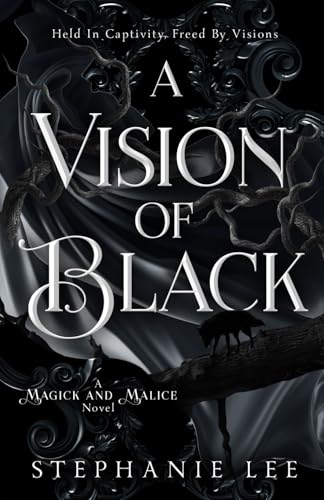 A Vision of Black: Auri's Story (Paperback)