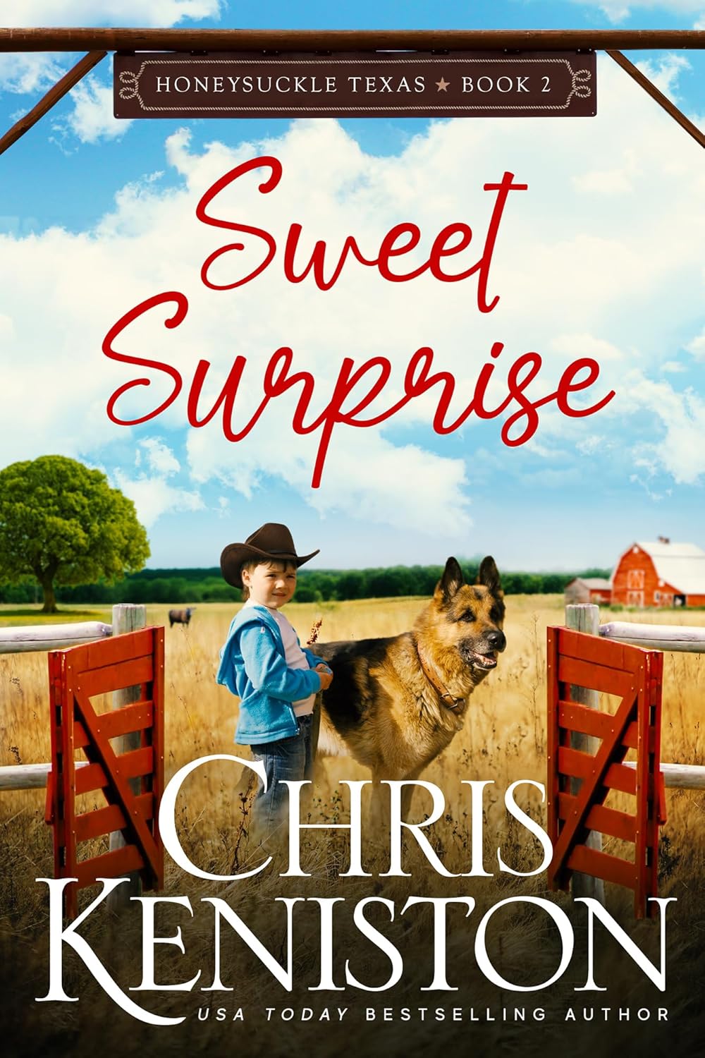 Sweet Surprise (Honeysuckle, Texas #2)