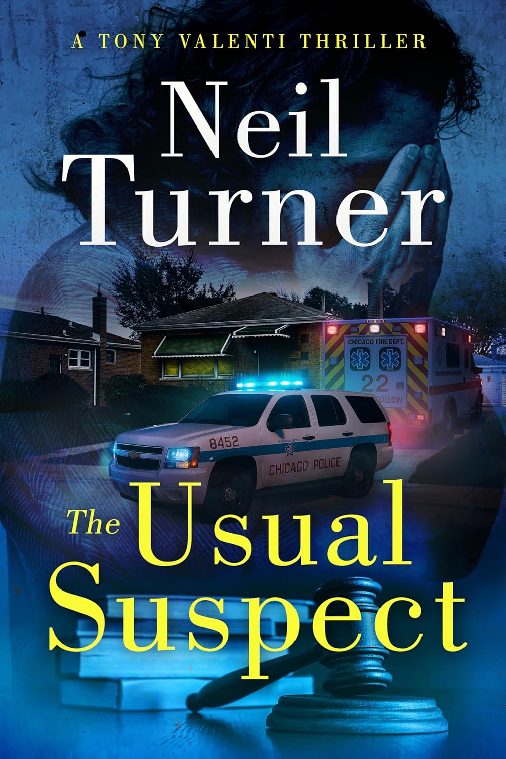 The Usual Suspect (Tony Valenti, #9)