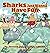 Sharks Just Wanna Have Fun ...