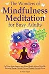 The Wonders of Mindfulness Meditation for Busy Adults The Wonders of Mindfulness Meditation for Busy Adults