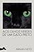 Aos olhos verdes de um gato preto (Portuguese Edition)