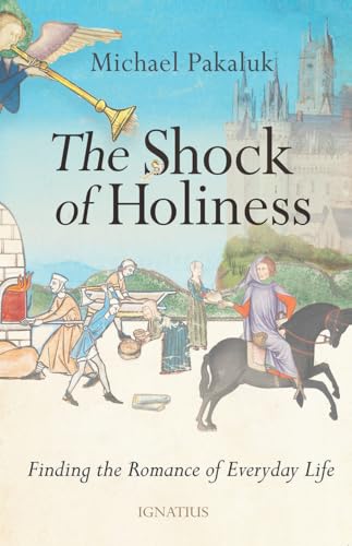 The Shock of Holiness: The Romance of Everyday Life (Paperback)