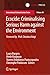Ecocide: Criminalising Serious Harm against the Environment (International Criminal Justice Series, 38)