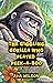 The Giggling Gorilla Who Played Peek-a-Boo by Ava Wilson