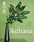 Ikebana - L'Art floral au fil des saisons by Rie Imai