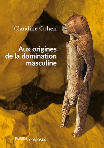 Aux origines de la domination masculine (French Edition)