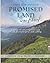 Faith, Fear and Your Promis...