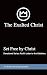 Set Free By Christ by Joe Kohler