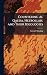 Countering Al Qaeda, Hezbollah, and Their Ideologies by Steven P. Bording