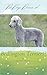 Do Dogs Dream of Bedlington...