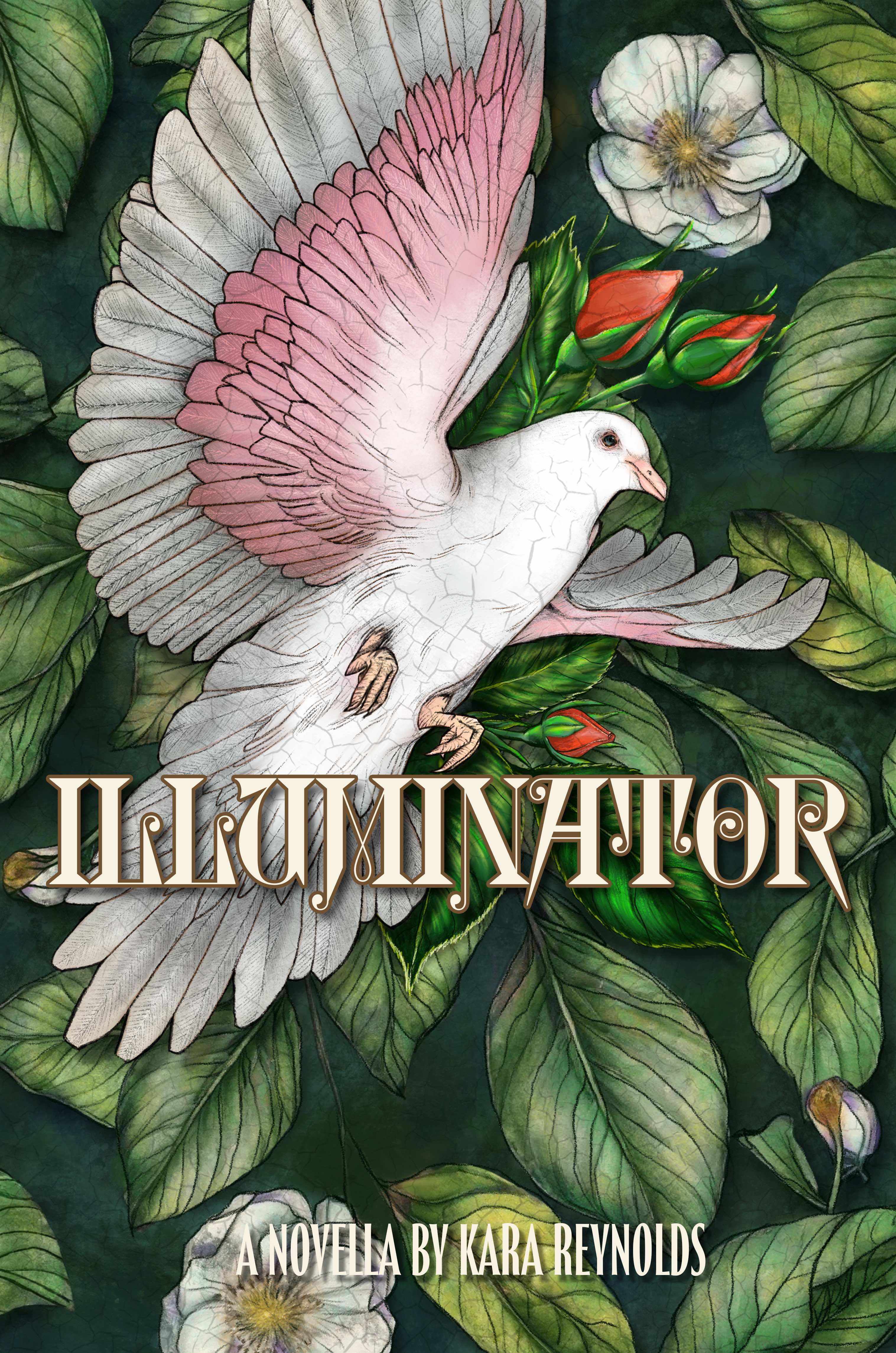 Illuminator (Gods of Tintar, #1.5)
