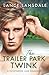 The Trailer Park Twink: An MM Forbidden Romance (The Core Four)