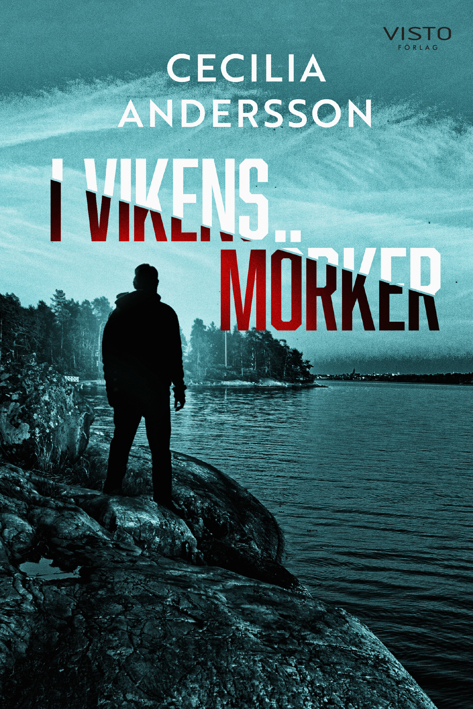 I vikens mörker (Västervikserien, #1)