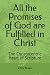 All the Promises of God are Fulfilled in Christ: The Christocentric Heart of Scripture (Christ Centered Theology)
