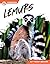 Lemurs (Primates)