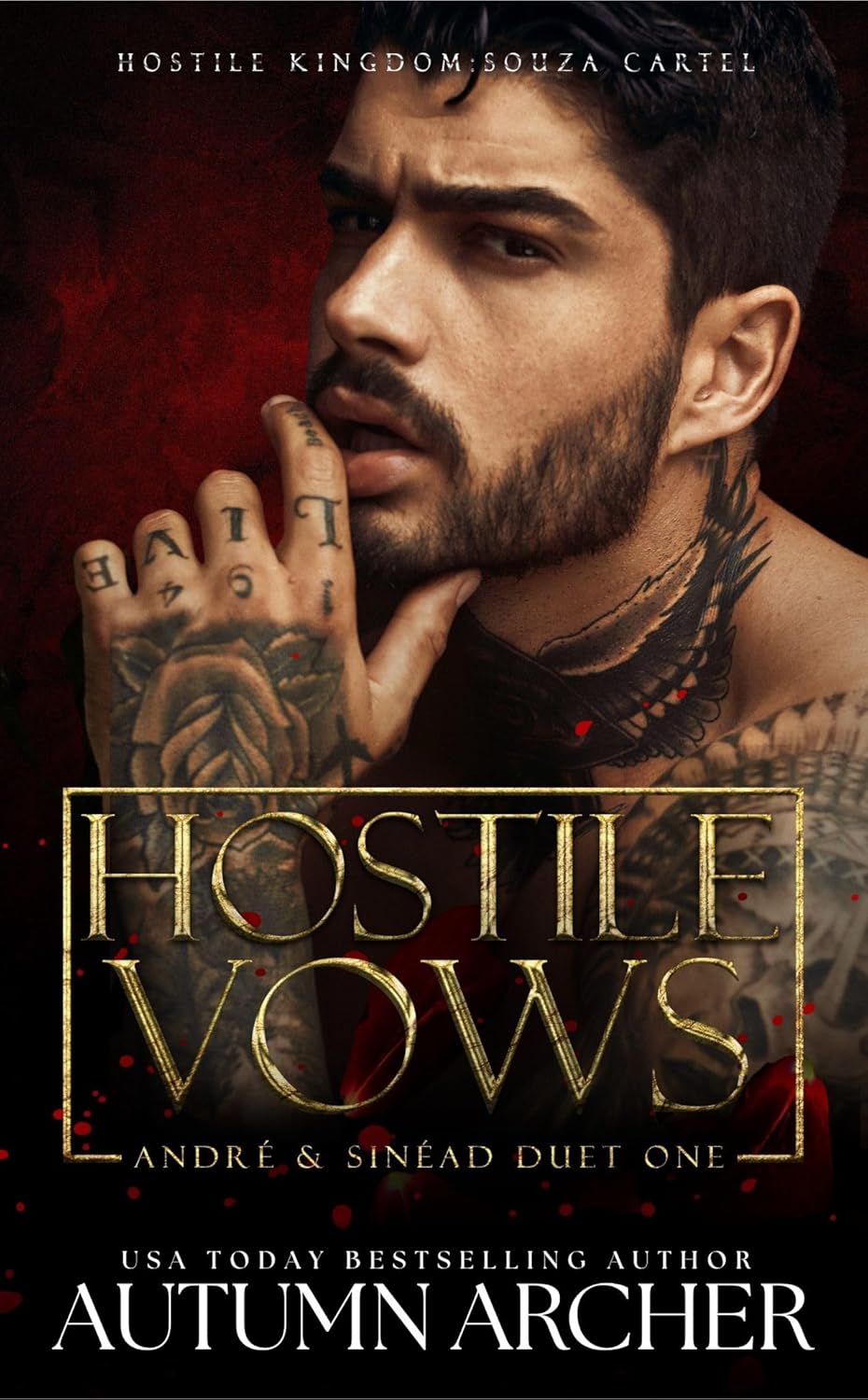 Hostile Vows: André & Sinéad Duet (Souza Cartel #3)