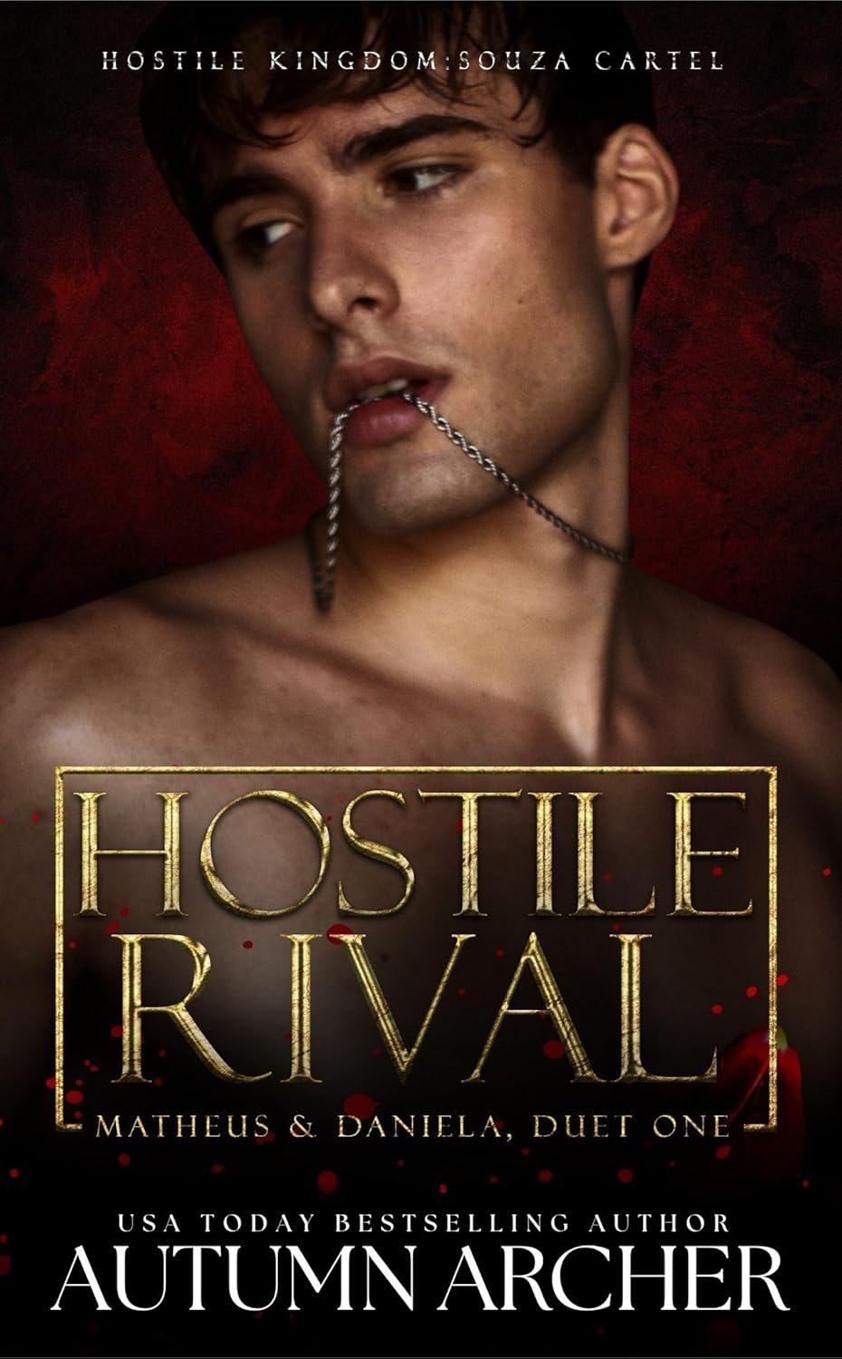 Hostile Rival: Matheus & Daniela Duet (Souza Cartel #7)
