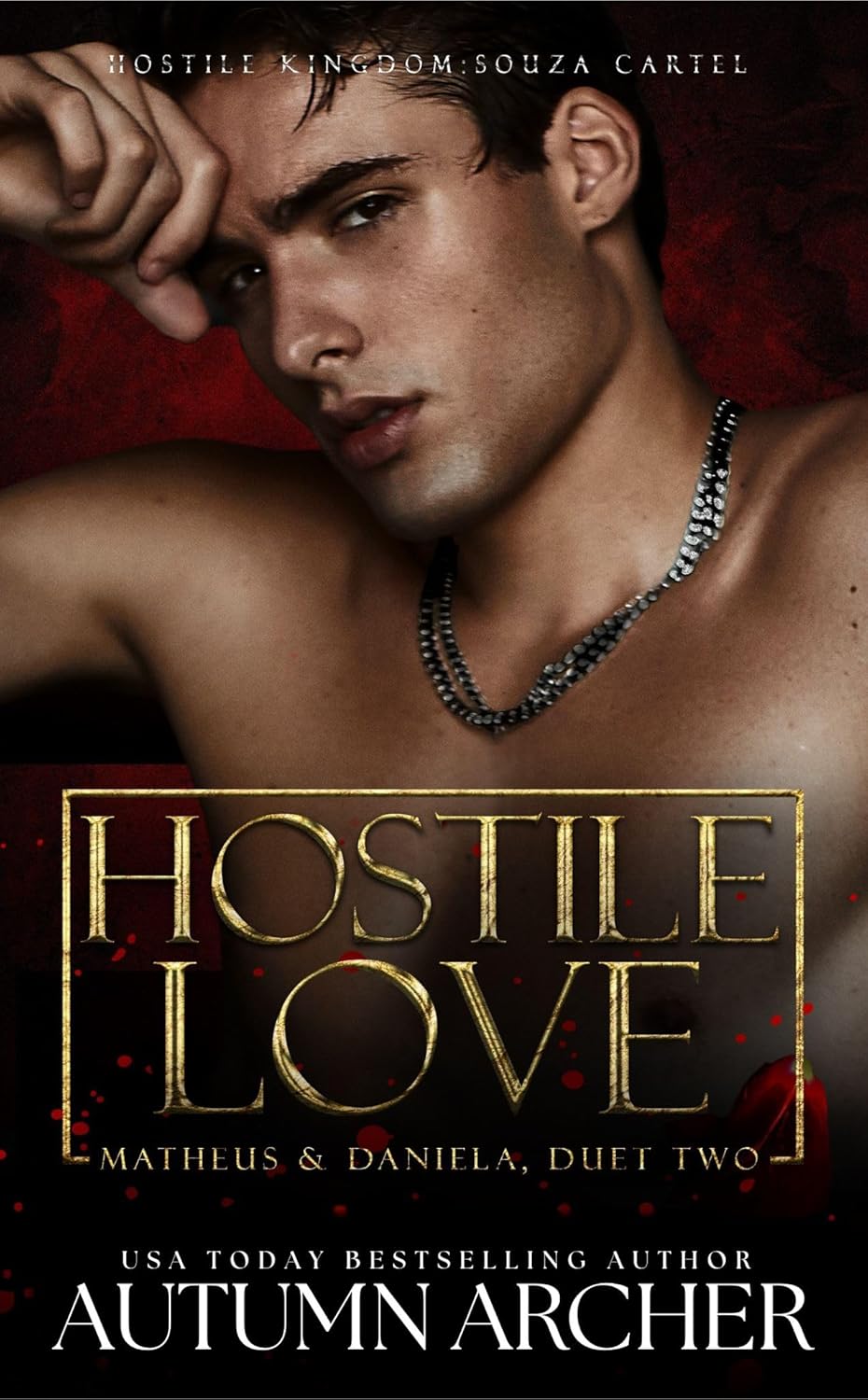 Hostile Love: Matheus & Daniela Duet (Souza Cartel #8)