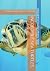 INCREDIBLE SEA TURTLES by Atreyu O Nash INCREDIBLE SEA TURTLES by Atreyu O Nash
