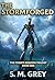 THE STORMFORGED: A Fantasy & Science Fiction Novel
