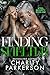 Finding Shelter (Steel Security, #1)