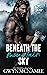 Beneath the Mountain Sky by Gwyn McNamee