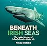 Beneath Irish Sea...