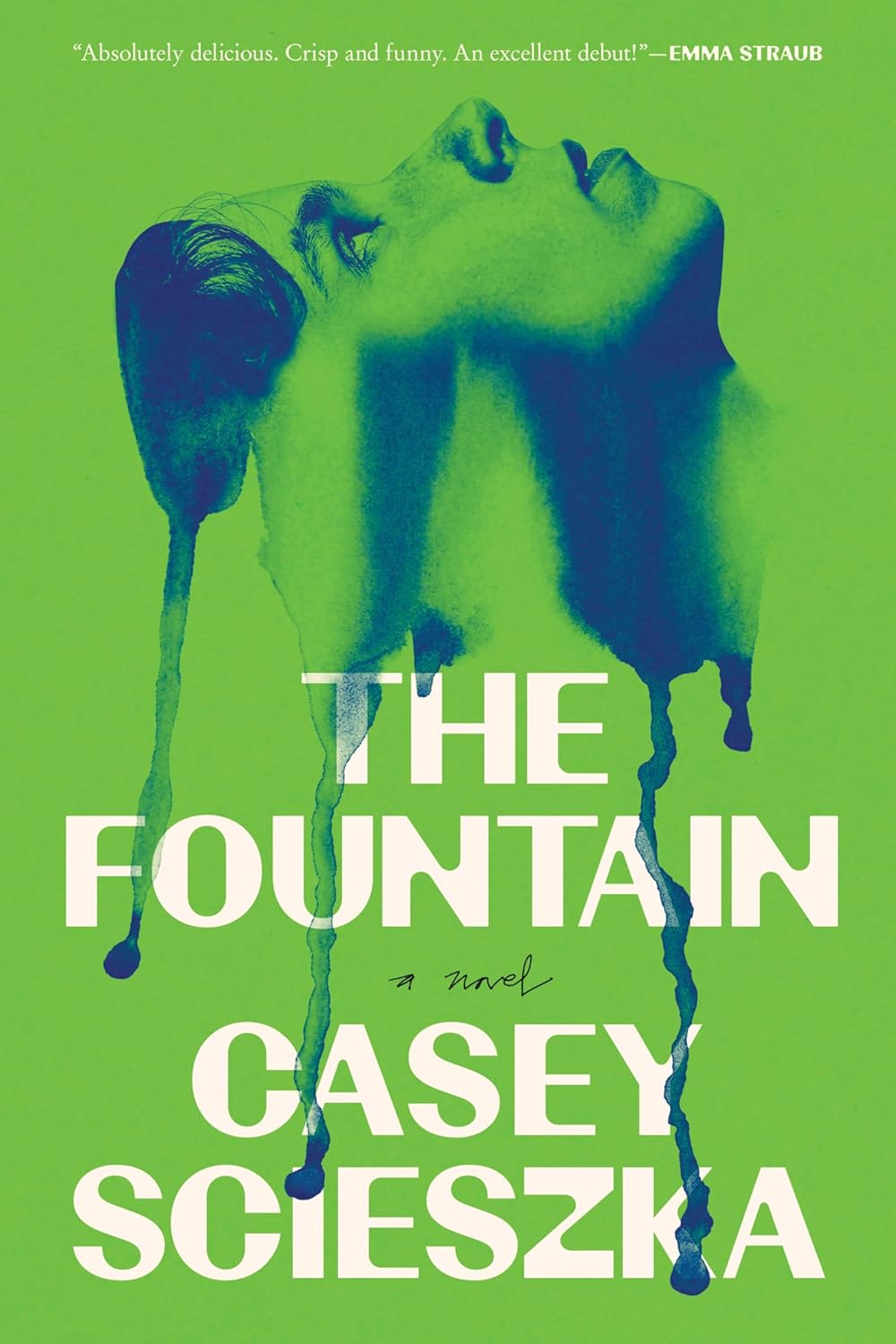 The Fountain (Hardcover)