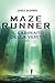 Maze Runner: Il labirinto d...