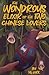 The Wondrous Elixir of the Two Chinese Lovers by Tim McGirk