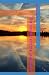 The Novelist and the Lake H...