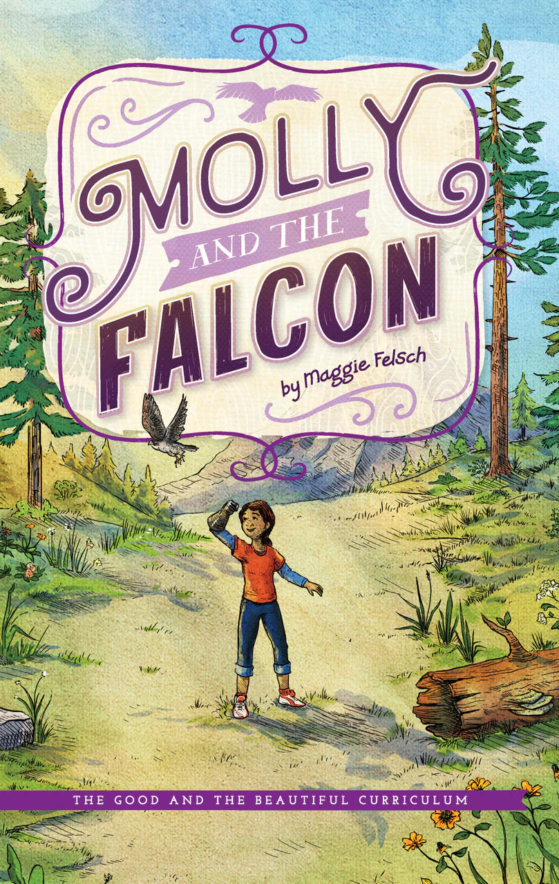 Molly and the Falcon (Hardcover)