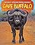 Cape Buffalo (Big 5: African Safari Animals)