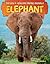 Elephant (Big 5: African Sa...