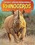 Rhinoceros (Big 5: African ...