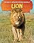 Lion (Big 5: African Safari Animals)