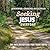 Seeking Jesus Everyday : a ...
