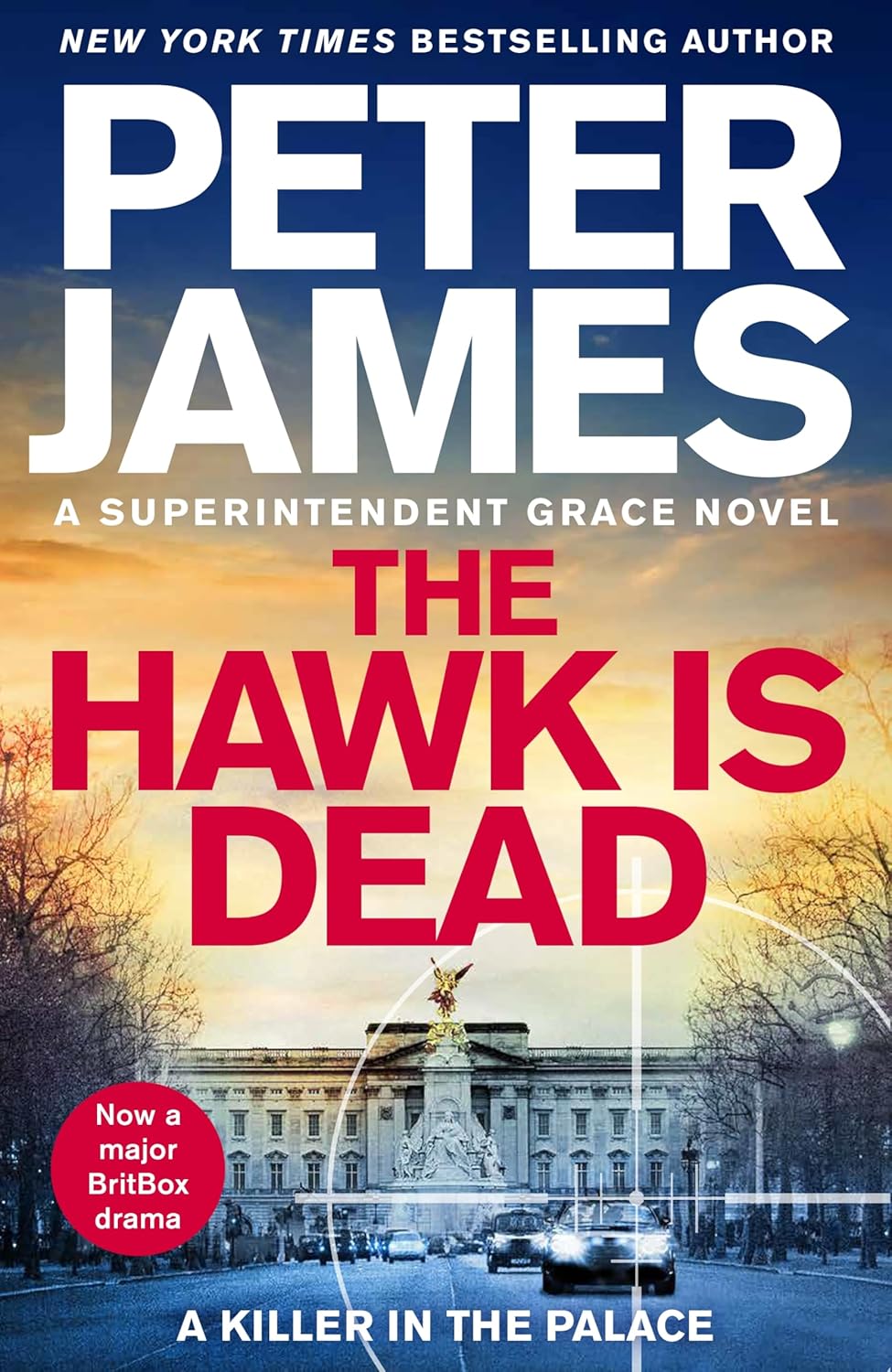 The Hawk Is Dead (Roy Grace, #21)