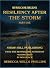 Hurricane Helene Resiliency After the Storm by Rebecca Wells Phillips