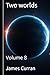 Two Worlds: Volume 8 (Two worlds (light novels) (litrpg))