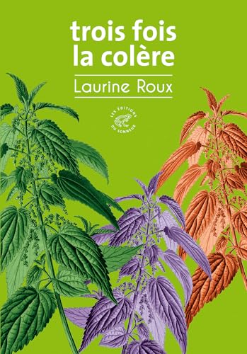 Trois fois la colère (ebook)