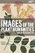 Images of the Plant Humanities by Danielle Sands