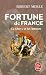 Le Glaive et les amours (Fortune de France, Tome 13) (French Edition)