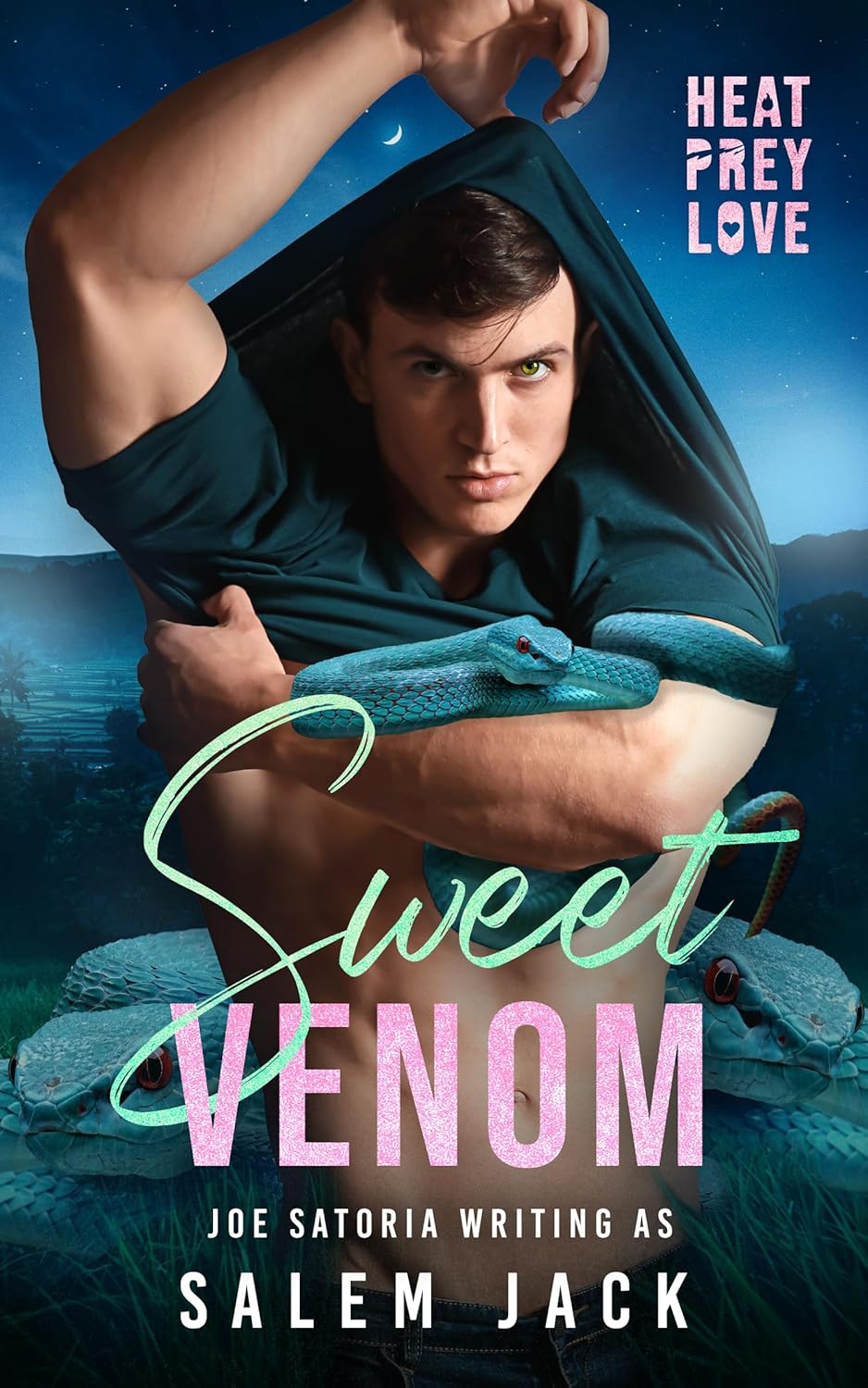 Sweet Venom (Kindle Edition)