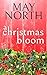 A Christmas Bloom (Hope Hill Romances Book 1)