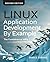 Linux Application Development by Example: The Fundamental APIs