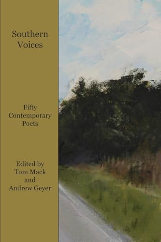 Southern Voices (Paperback)